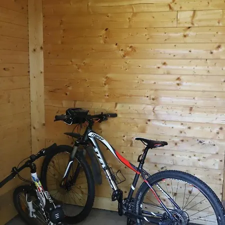Ferienwohnung Schmidt Im Haus Elisabeth * Feldberg (Baden-Wurttemberg)
